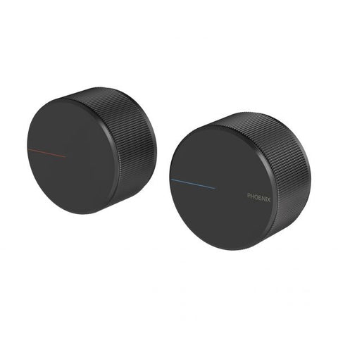 Phoenix Axia Wall Top Assemblies wall taps
