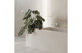 Nuage Shower / Wall Mixer - Lead Free