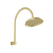 Wiltern High-Rise Shower Arm and Rose