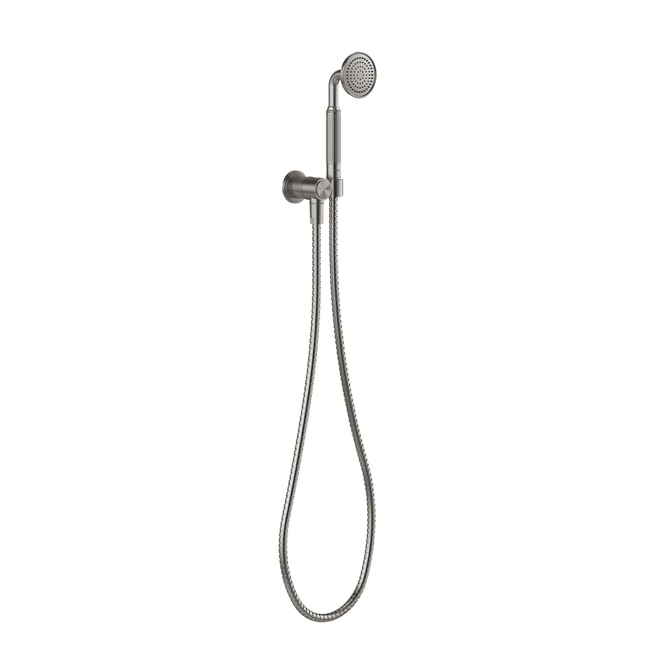 Wiltern Hand Shower in Brushed Carbon