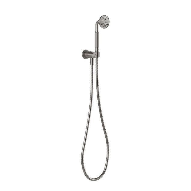 Wiltern Hand Shower in Brushed Carbon