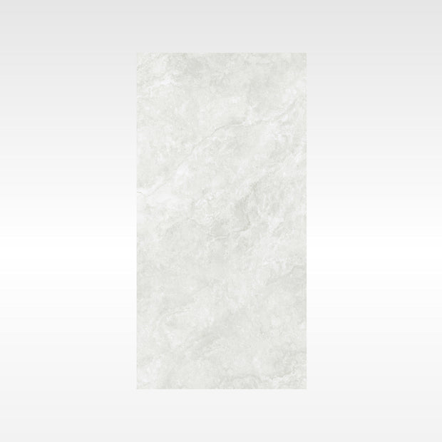 Everest Silver StoneTouch Porcelain Tiles 600x1200mm tile