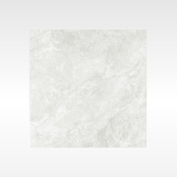 Everest Silver Indoor Outdoor Porcelain Tiles 600x600mm tile