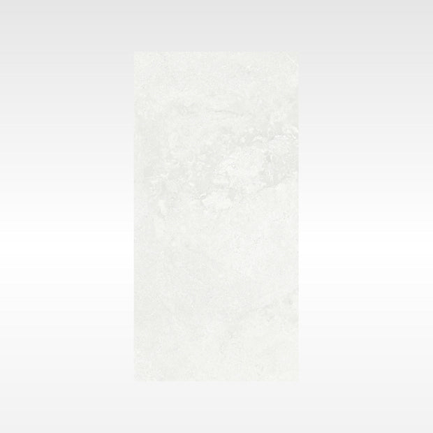Elegance Silver 300x600 In&Out Solution