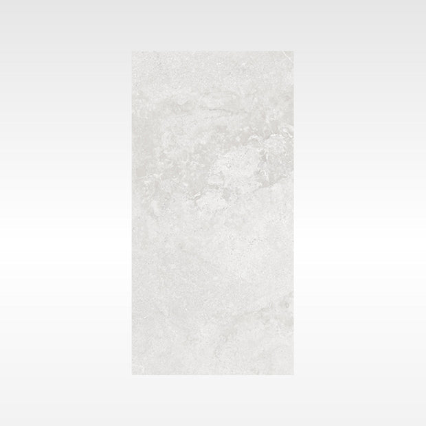 Elegance Grey Indoor Outdoor Marble Look Porcelain Tiles 300x600mm tile