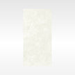 Origin White 300x600 Polish