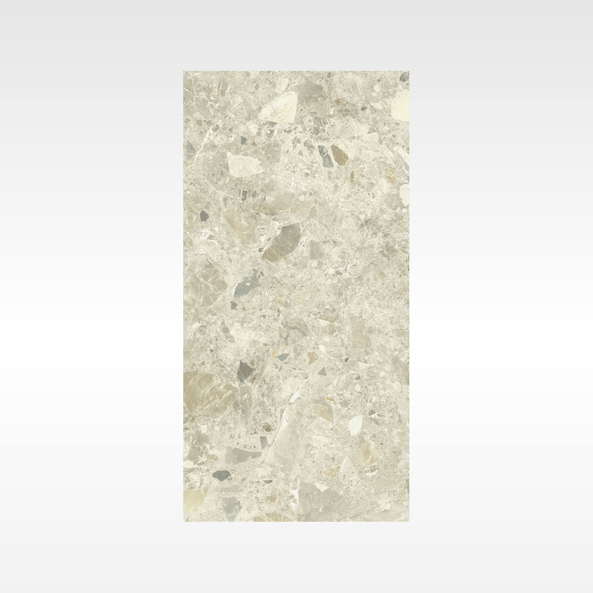 Luxstone Beige Indoor Outdoor Porcelain Tiles 300x600mm tile