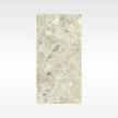 Luxstone Beige Indoor Outdoor Porcelain Tiles 300x600mm tile
