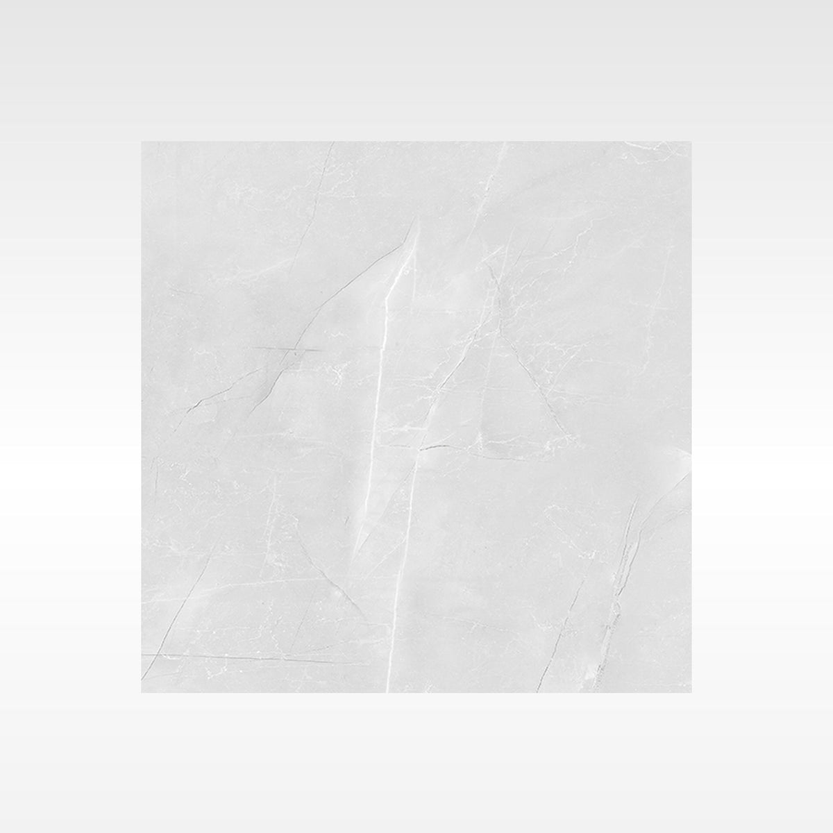 Vienna Grey Matt Marble Look Porcelain Tiles tile