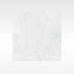 Ionic Silver 600x600 Polish
