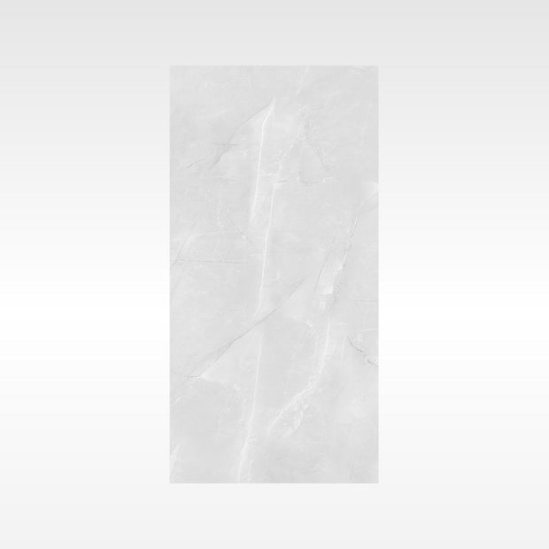 Vienna Grey 600x1200 Soft Matt