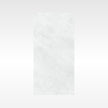Ionic Silver 600x1200 Polish