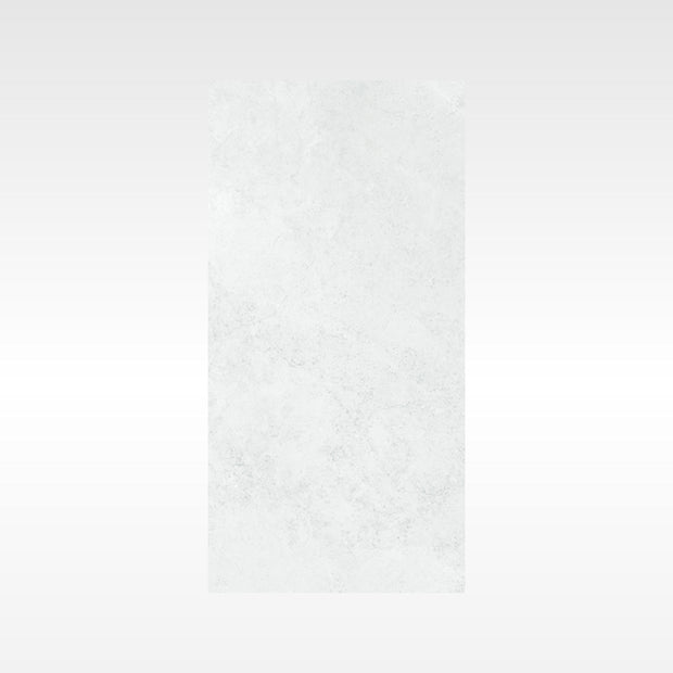 Ionic Silver 300x600 Polish