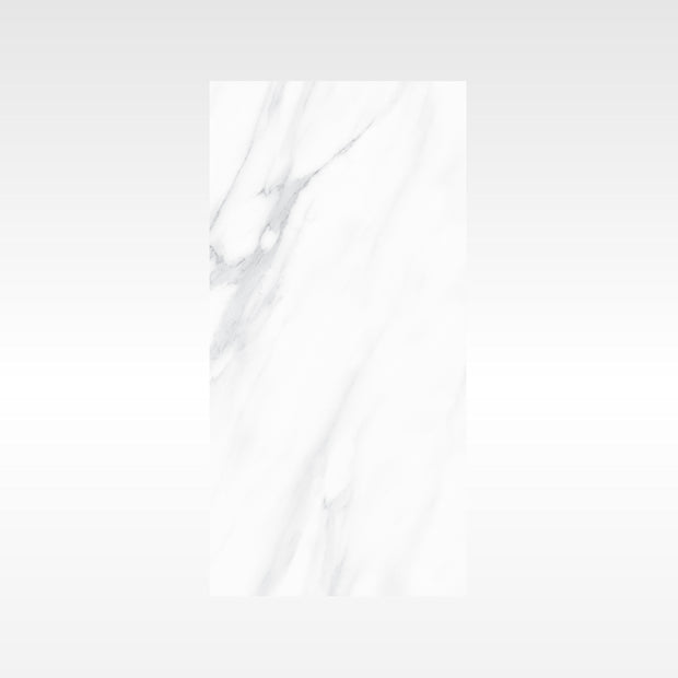 SnowWhite Grey 300x600 Polish