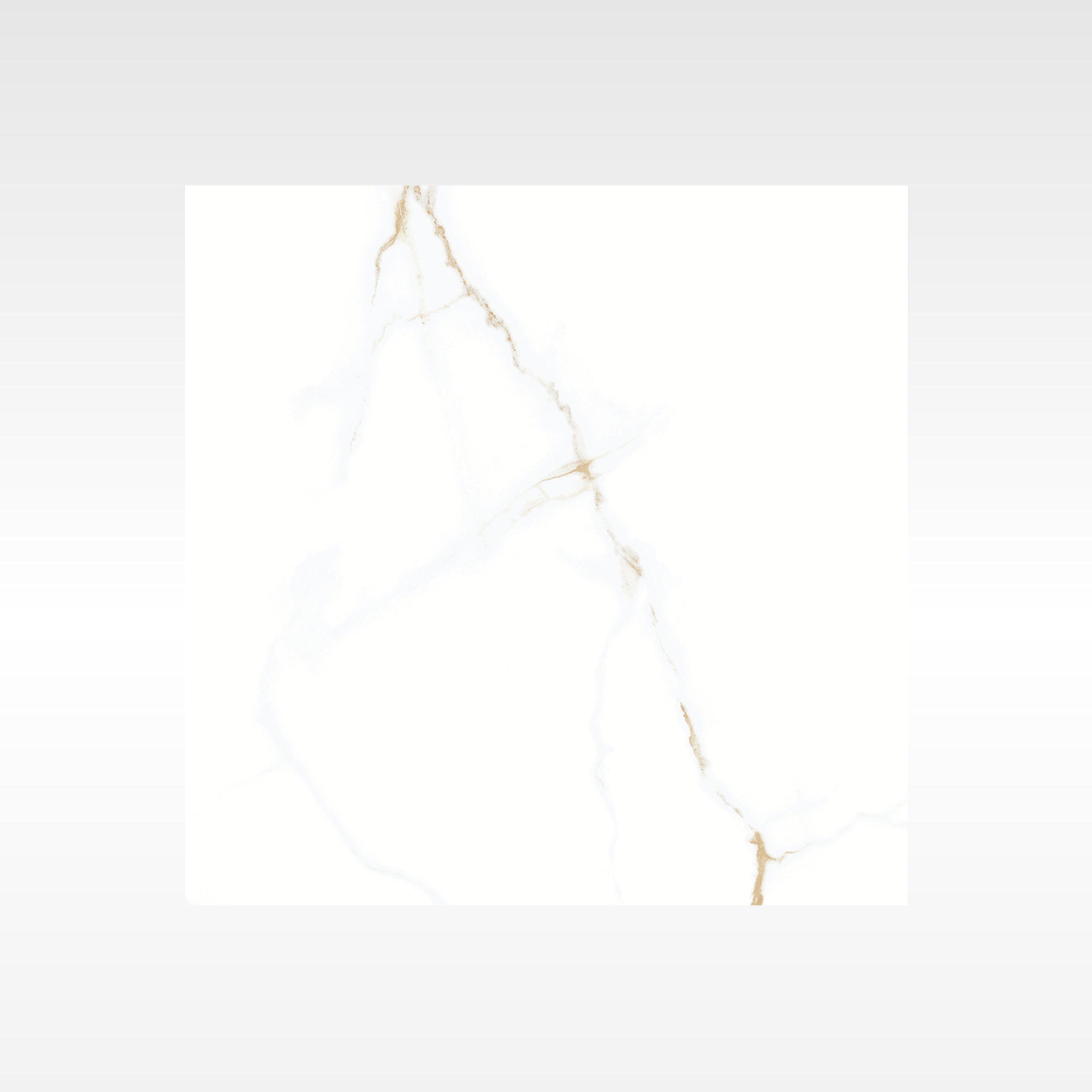 Statuario Gold 600x600 Polish