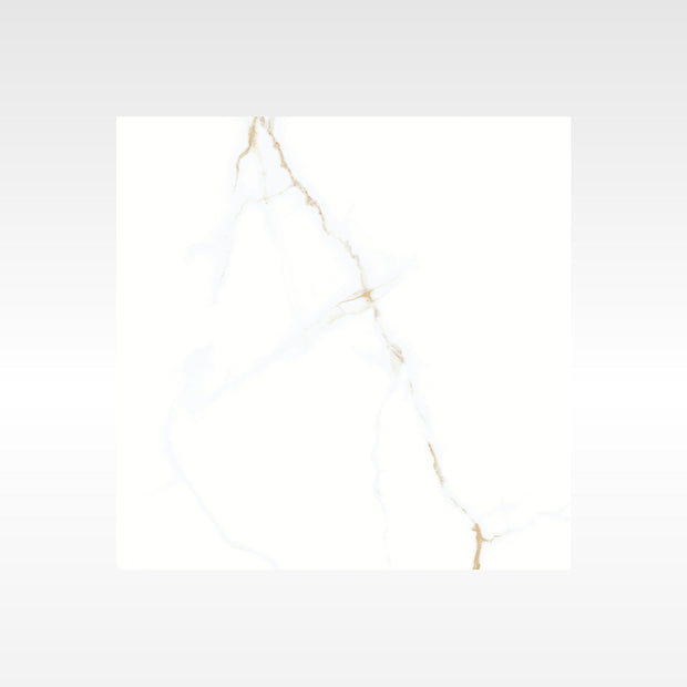 Statuario Gold 600x600 Polish