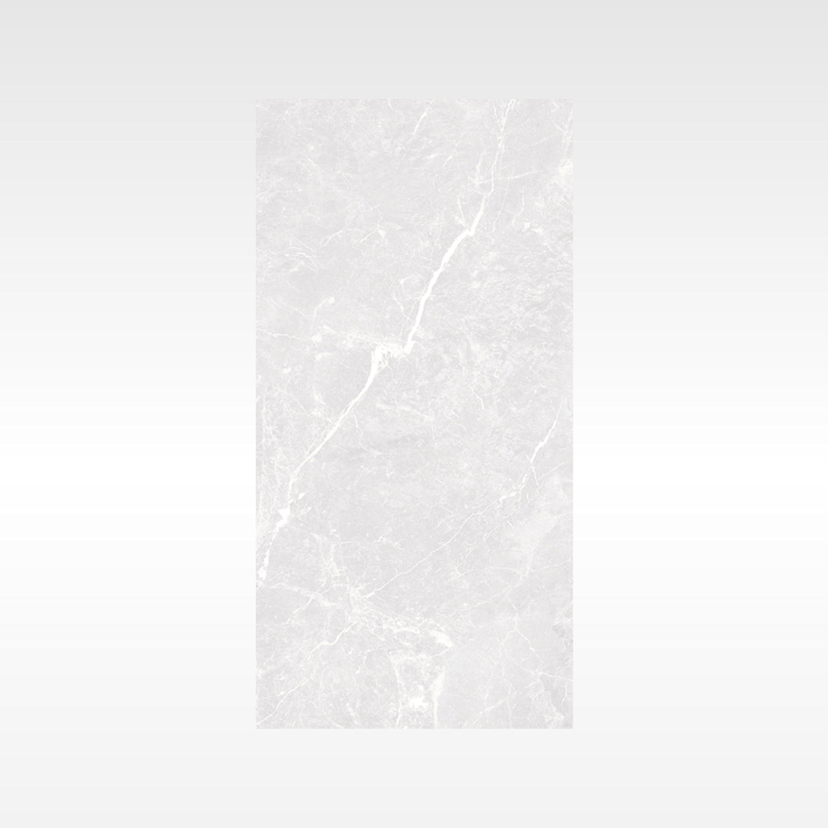 Apex Silver Matt Marble Look Porcelain Tiles 300x600 tile