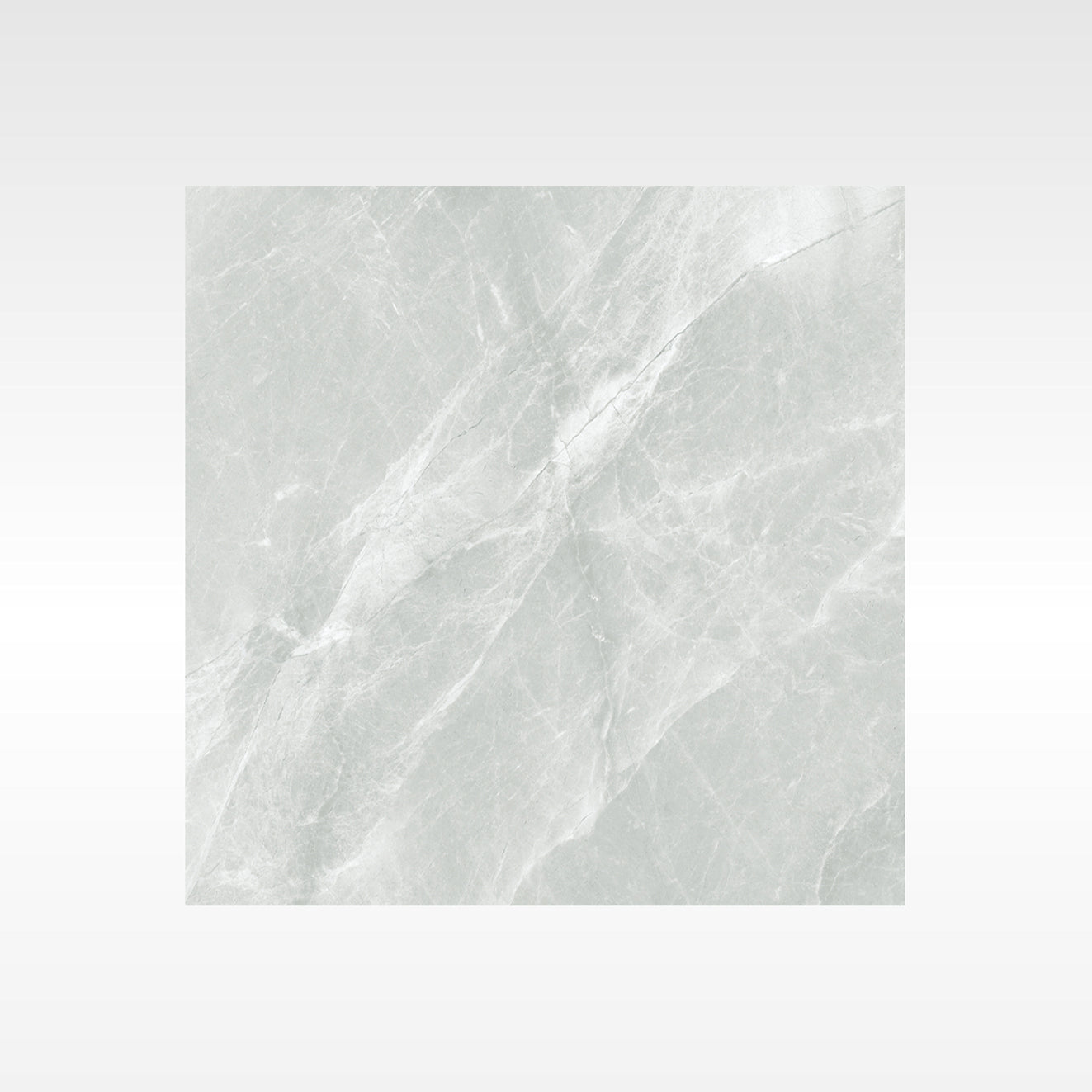 Fg Silver 600x600 Polish