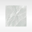 Fg Silver 600x600 Polish