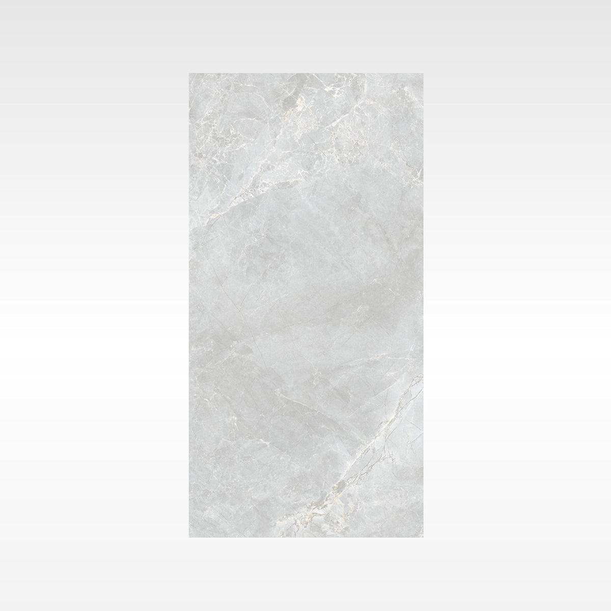 CaesarStone Medium Indoor Outdoor Porcelain Tiles 300x600mm tile