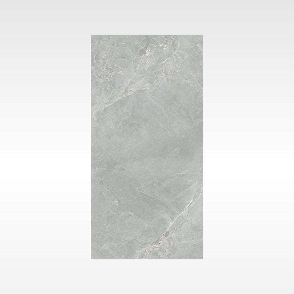 CaesarStone Dark Indoor Outdoor Porcelain Tiles 300x600mm tile