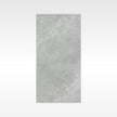 CaesarStone Dark Indoor Outdoor Porcelain Tiles 300x600mm tile