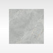 CaesarStone Dark Indoor Outdoor Porcelain Tiles 600x600mm tile