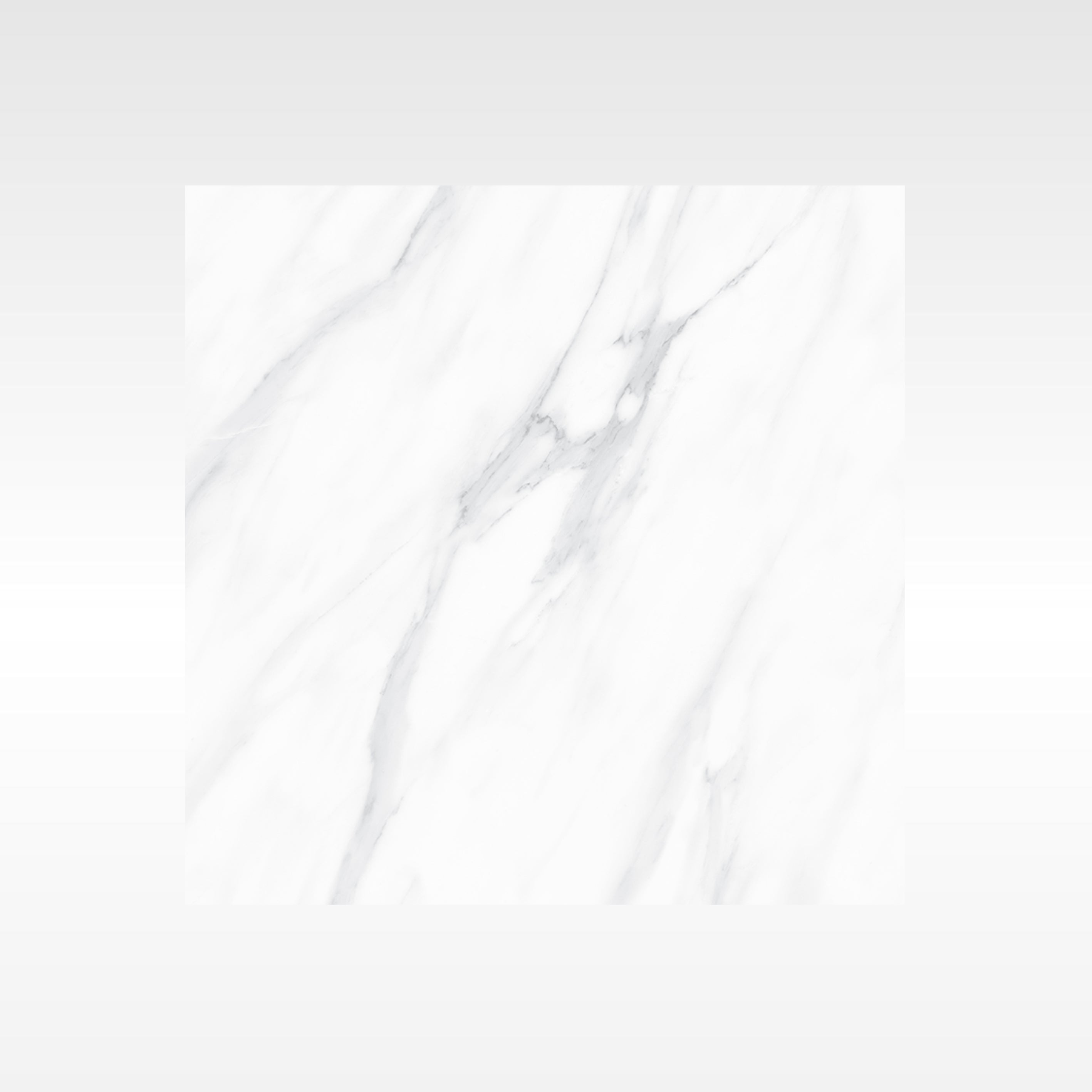 Carrara White 600x600 Matt