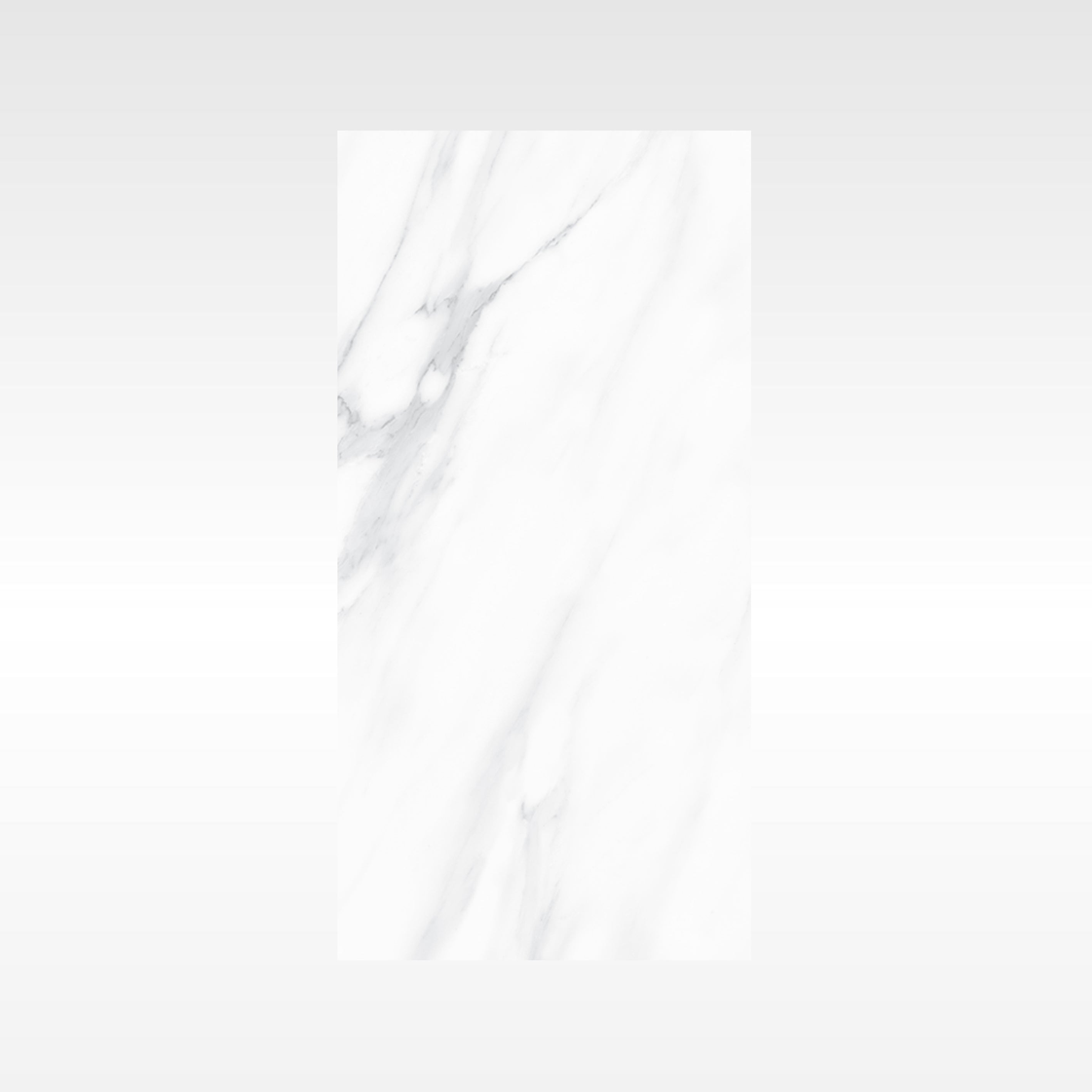 Carrara White 300x600 Matt