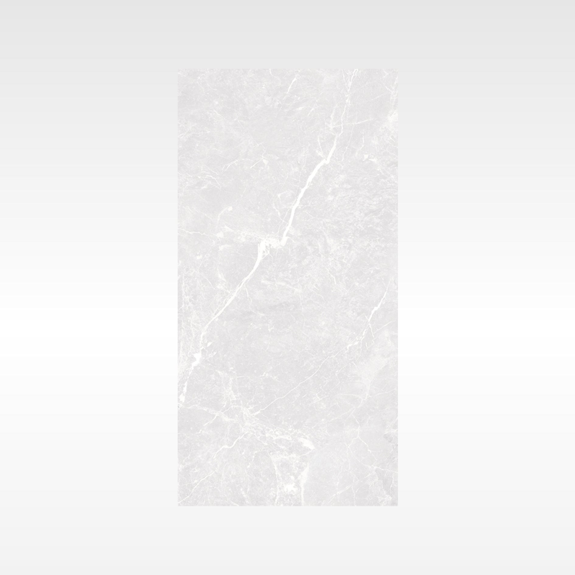 Apex Silver 300x600 Polish