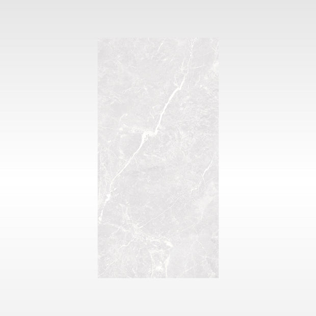 Apex Silver Polished Marble Look Porcelain Tiles 300x600 tile