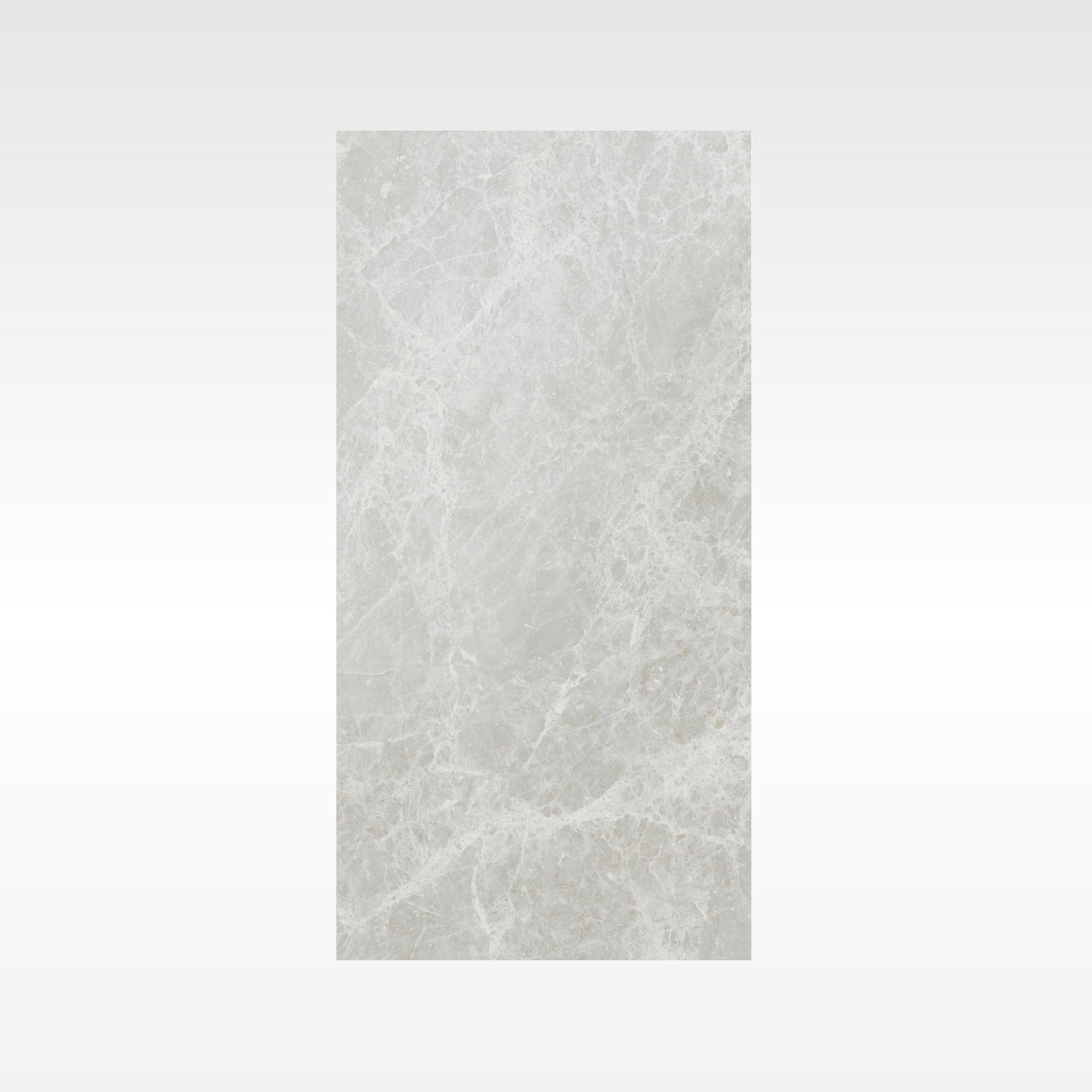 Tundra Grey 600x1200 Matt