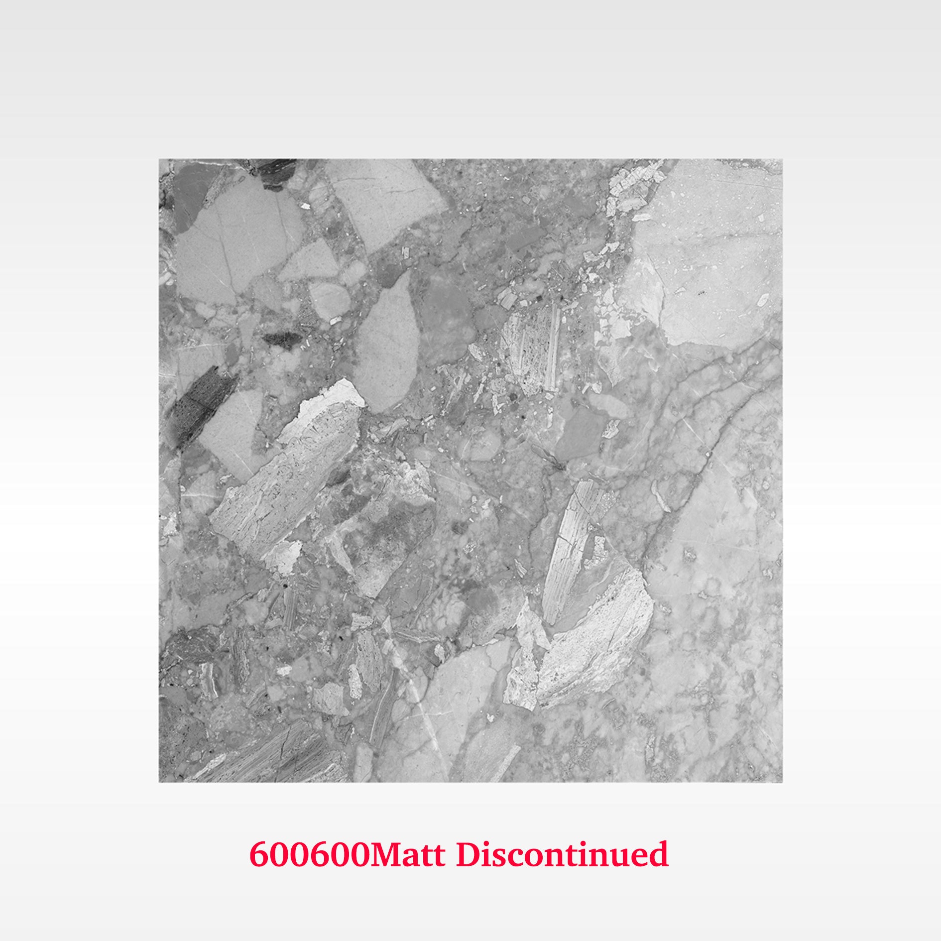 Terrazzo Medium 600x600 Matt