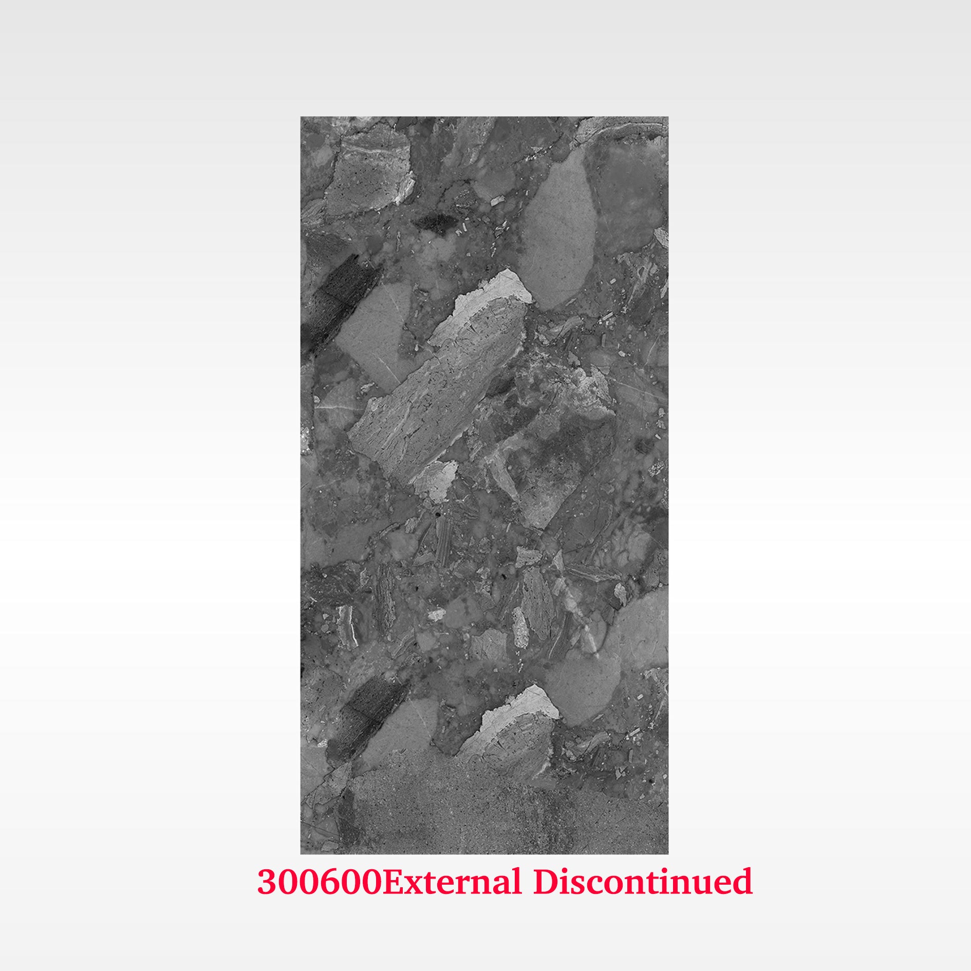 Terrazzo Dark 300x600 External