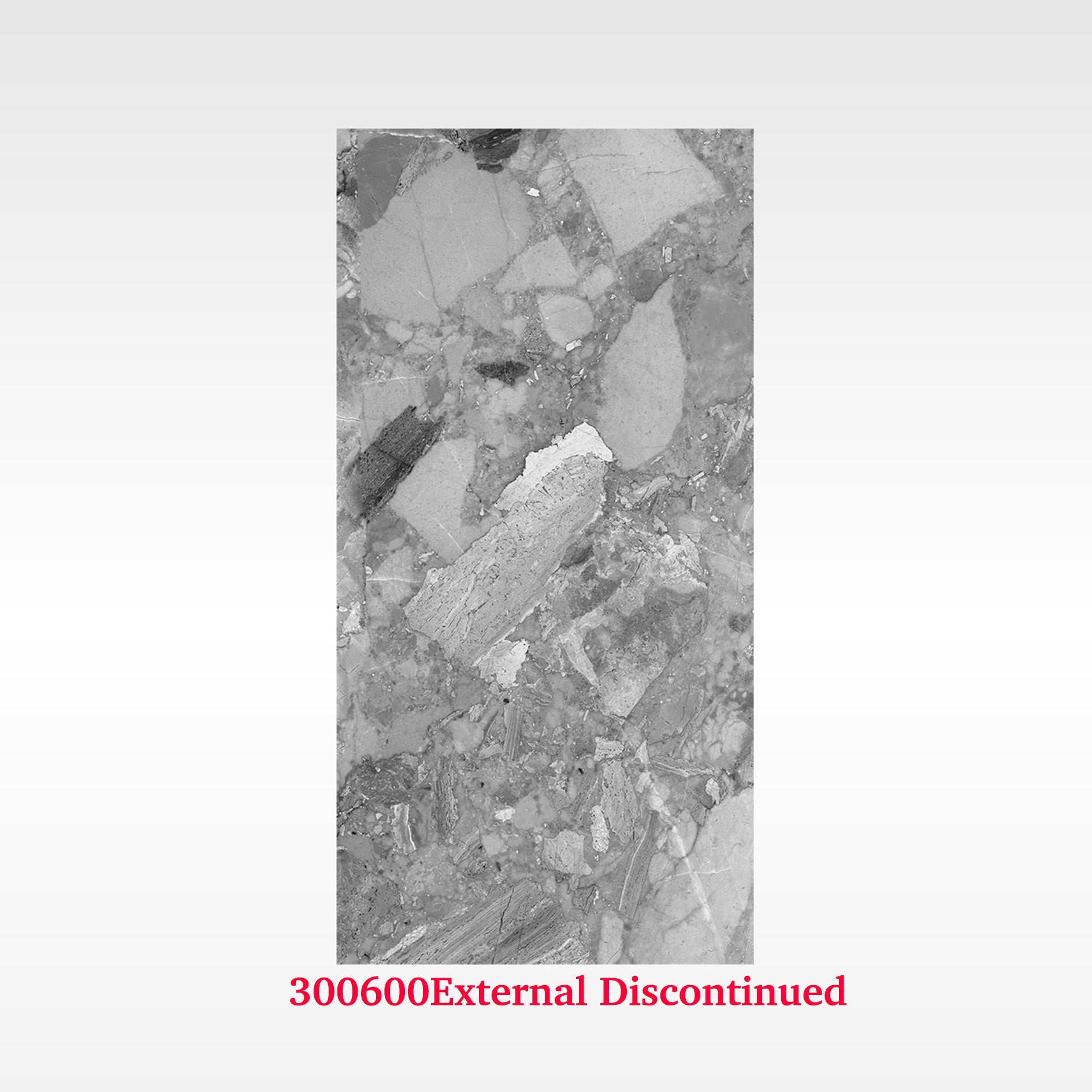 Terrazzo Medium 300x600 External