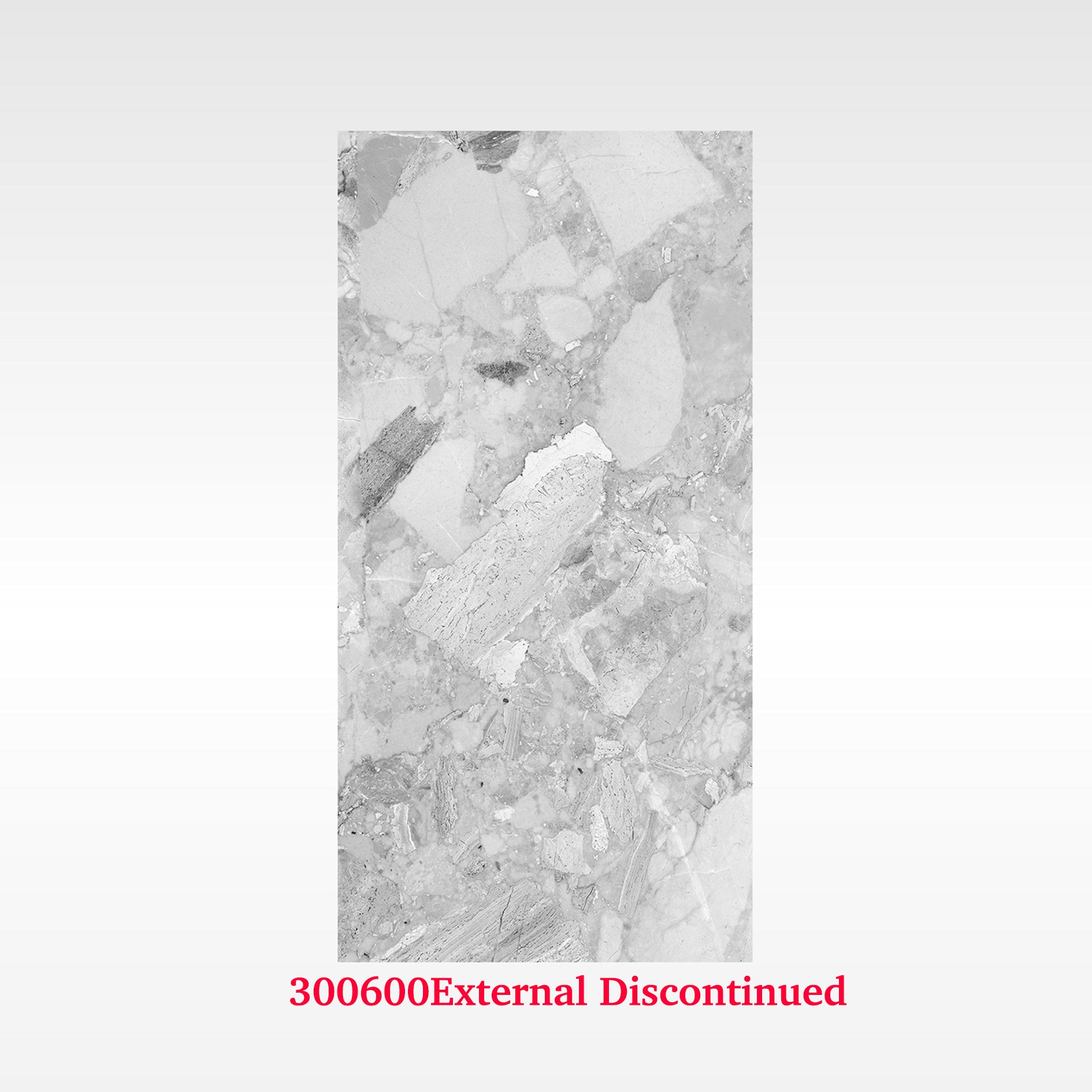 Terrazzo Light 300x600 External