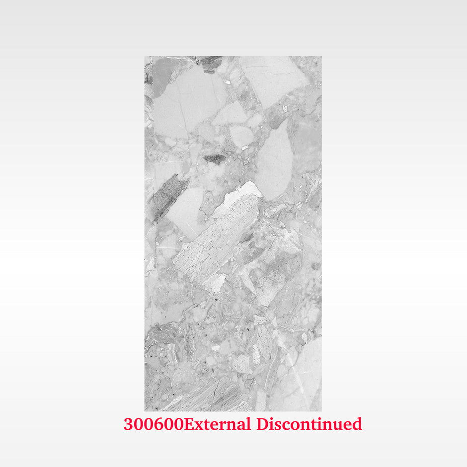 Terrazzo Light 300x600 External
