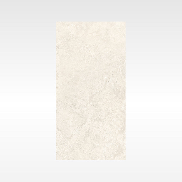 Flat-Alps Silver 300x600 In&Out Solution