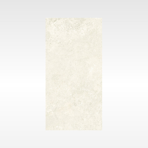Flat-Alps Silver Indoor Outdoor Porcelain Tiles 300x600mm tile