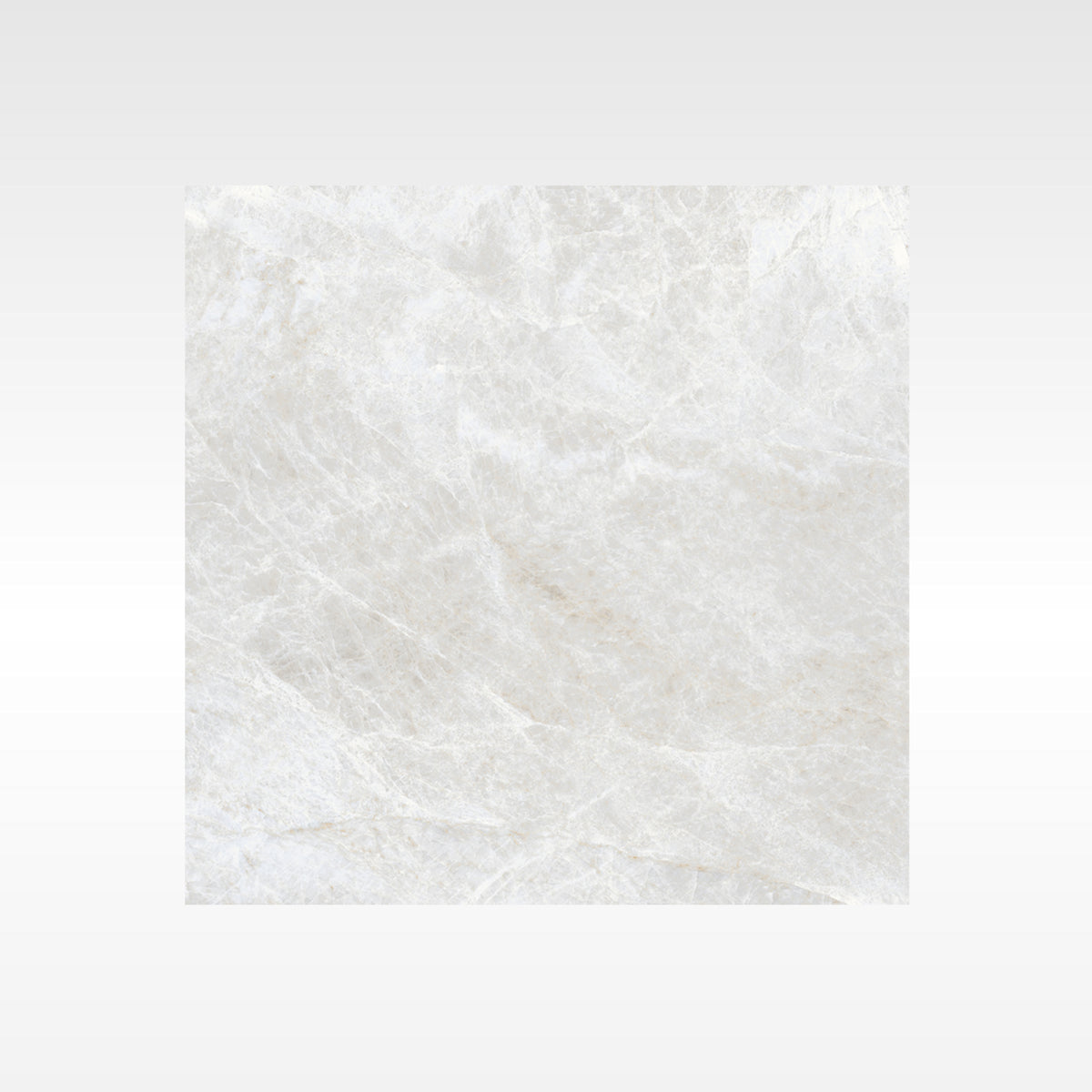 Taj Mahal White StoneTouch Marble Look Porcelain Tiles 600x600mm tile