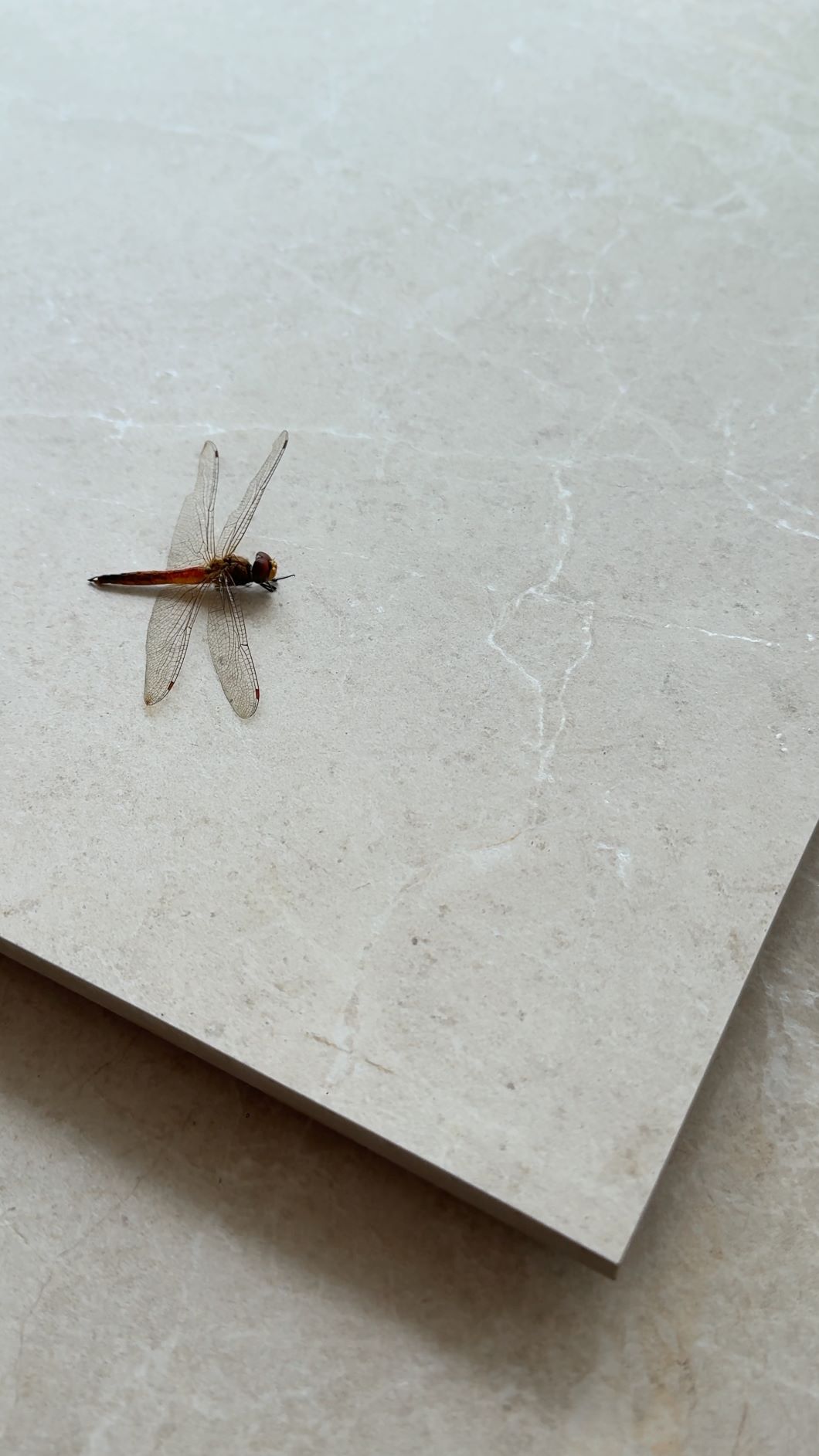 Mosman Ivory Indoor Outdoor Porcelain Tiles laid tile layout