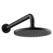 Brass Horizontal Shower in Black