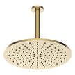Brass Round Vertical Shower 300mm in Brushed Brass