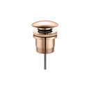 Champagne Copper