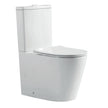 Zenmo Exon Toilet Suite in Chrome