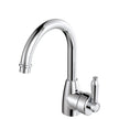 Eleanor Gooseneck Basin Mixer in Chrome / Chrome