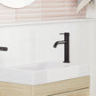 Axle Basin Mixer
