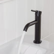 Axle Basin Mixer