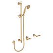 Lillian Lever Rail Shower Set in Urban Brass