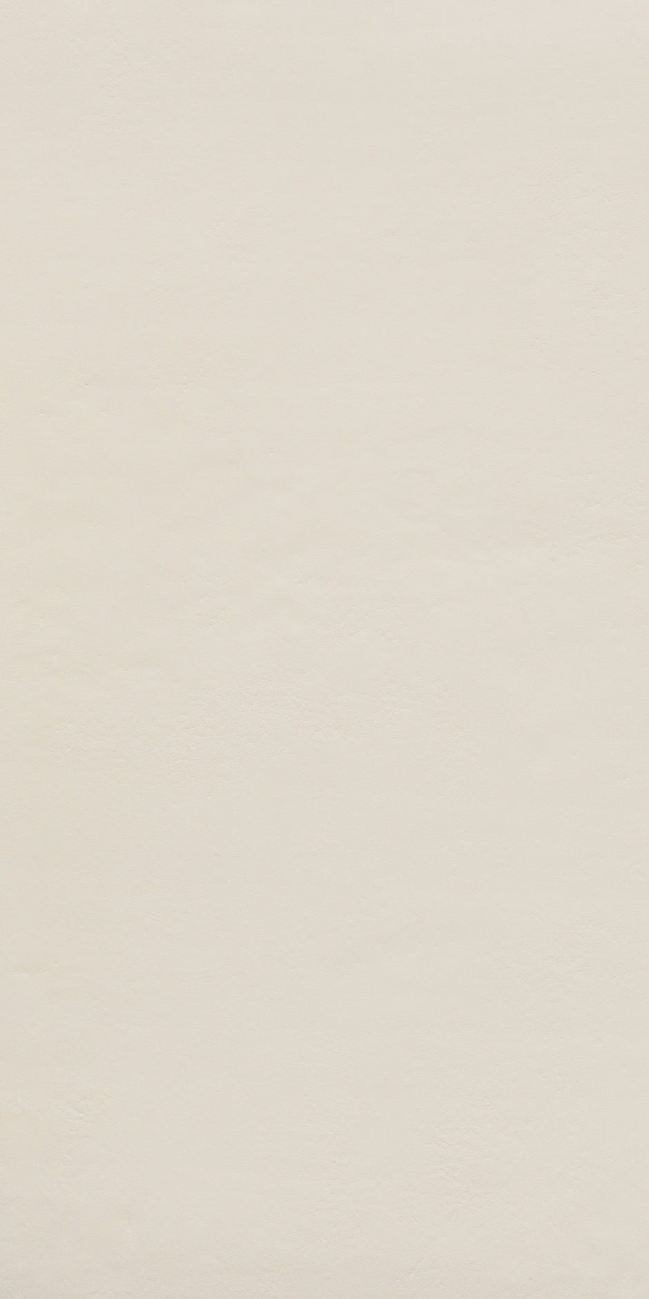 Riga Clay Smooth Plaster Look Porcelain Tiles 225x900mm